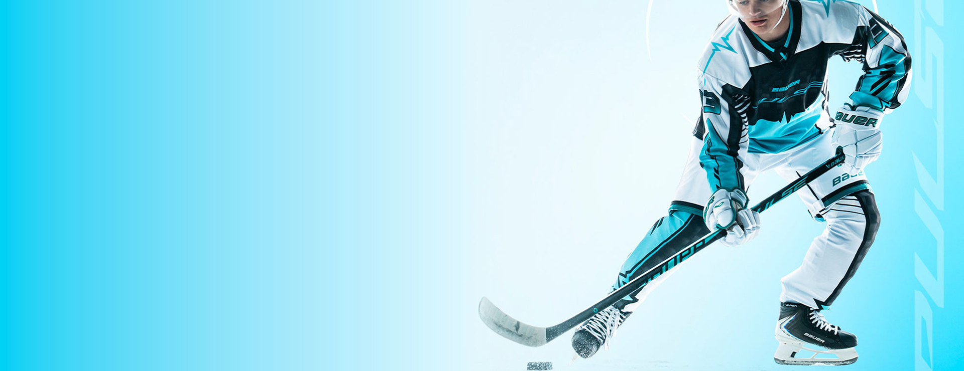 Bauer -Bauer homepage hero banner sticks pulse treated desktop